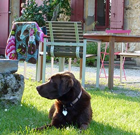 gites dordogne