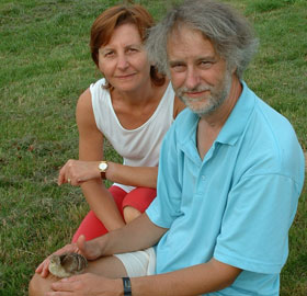 gite Ile de France
