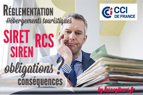 gite numéro SIRET ou RCS