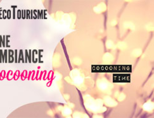 5 conseils pour donner une ambiance cocooning à votre chambre !