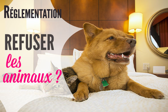 refuser animaux locations de vacances